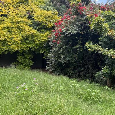 VENTA DE CASA EL CARMEN  _ HUEXOTITLA  | Venta y renta en Puebla