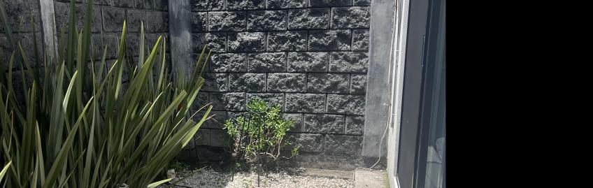 Casa en Venta, CASA EN VENTA FRACC. MONTE OLIVO  | Se encuentra ubicado en Momoxpan, Puebla | Vendo y Rento