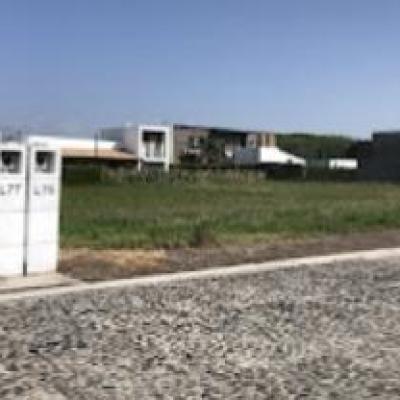 TERRENO EN VENTA FRACC. EL FRESNO ATLIXCO 